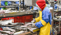 解保守分离采购监管难、溯源难的问题