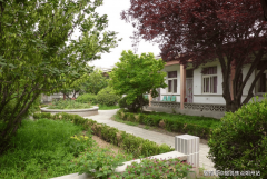 现场体验适老化生间取特色护理办事